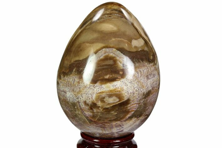 Colorful, Polished Petrified Wood Egg - Triassic #107392